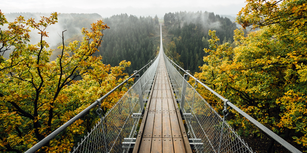 A wooden bridge over a forest