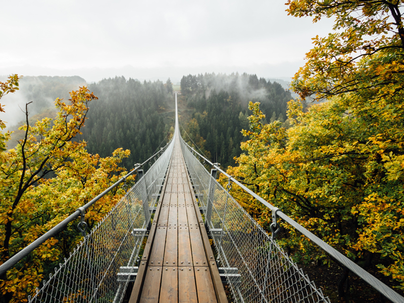 A wooden bridge over a forest