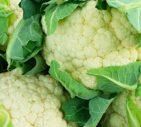 2 heads of cauliflower