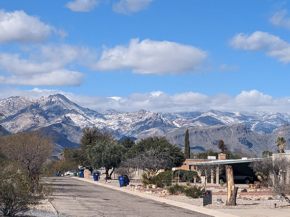 Neighborhood with snowy mountains in the background