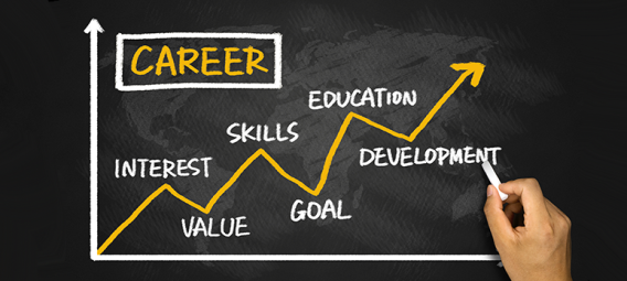 career development chart