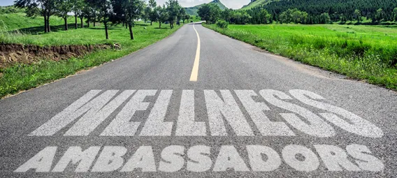 Road leading to the distance with the text Wellness Ambassadors spray painted on the road