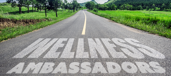 Road leading to the distance with the text Wellness Ambassadors spray painted on the road