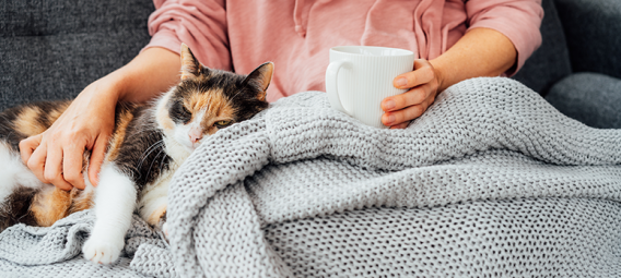 Close-up woman in a plaid drinking hot tea, petting a relaxed cat on the sofa at home.
