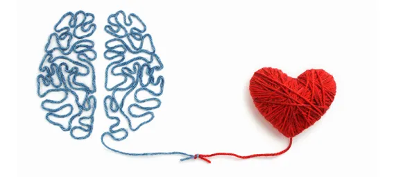 Heart and brain connected by a knot on a white background