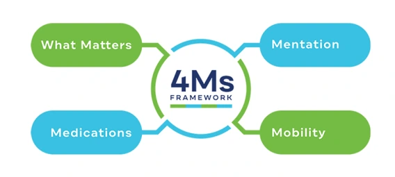 Diagram showing '4Ms Framework' in center circle connected to four rounded boxes: 'What Matters,' 'Mentation,' 'Mobility,' and 'Medications' in green and blue colors