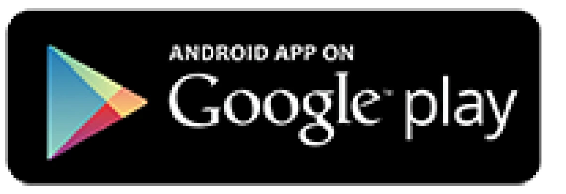icon google play