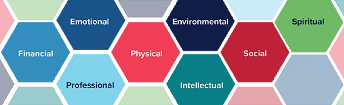 honeycomb pattern with the dimensions of wellness