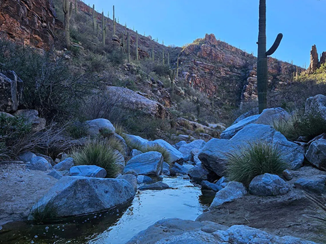 Desert scene at Ventura Canyon