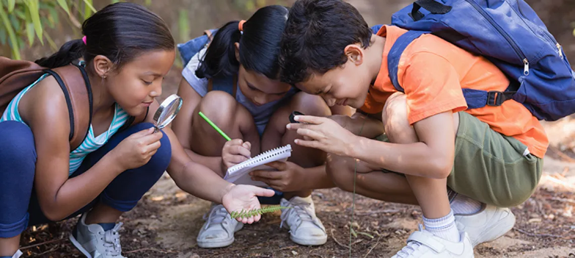 Group of friends exploring nature with magnifying glasses, taking notes