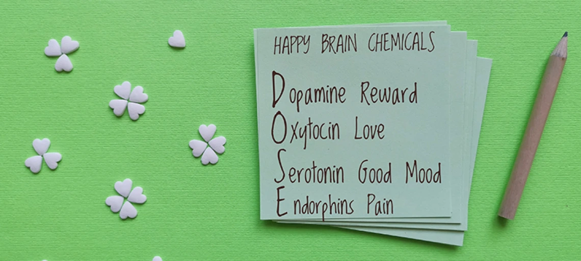 Happy brain chemicals written on a sheet of paper with decorations in the shape of heart and clover.