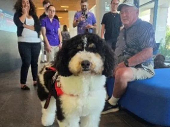 Bernie visiting during a PAWS event