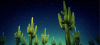 Cactus Nighttime